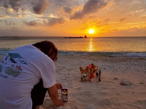 海と夕日と最後の夜を! 海と夕日と最後の夜を!