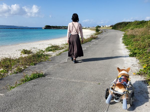 あれやこれやの一日を！