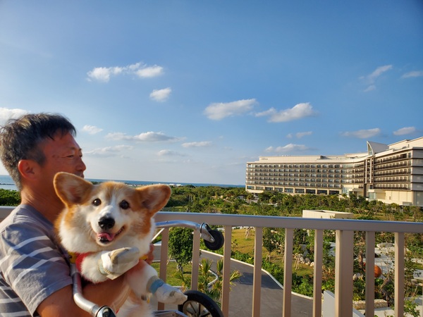 ニューアイテムと記念日と！